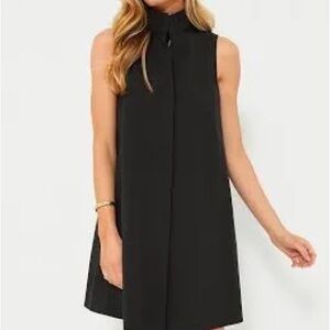 Tuckernuck Black Sleeveless Mini Dress